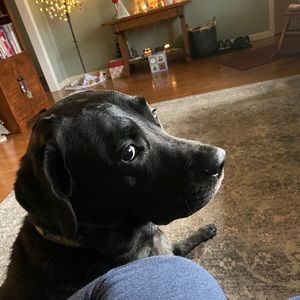 Meet your Posher, Jill